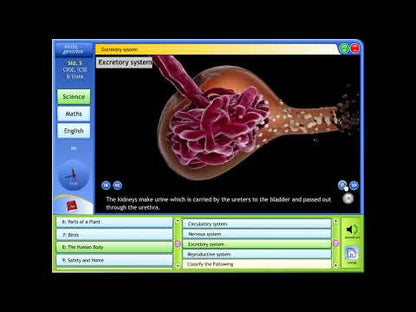 Little Genius Junior Class 3